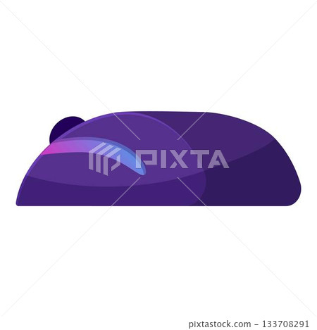 Modern wireless computer mouse showing ergonomic design 133708291