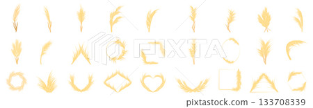 Pampas icons set. Set of golden wheat ears icons and logo elements for organic products packaging Pampas icons set. Set of golden wheat ears icons and logo elements for organic products packaging 133708339