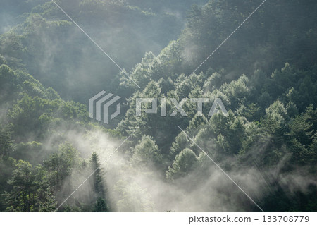 晨霧籠罩著中之條町的森林,陽光透過森林灑下(群馬縣) 晨霧籠罩著中之條町的森林,陽光透過森林灑下(群馬縣) 133708779
