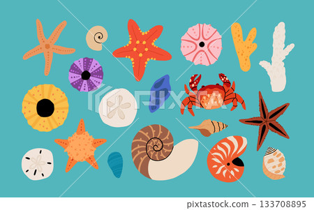 Seashells vector set. Collection of flat, cartoon modern flat icons of molluscs sea shells, starfish, sea urchin, crab, coral. Trendy coral reef under water collection isolated on white Seashells vector set. Collection of flat, cartoon modern flat icons of molluscs sea shells, starfish, sea urchin, crab, coral. Trendy coral reef under water collection isolated on white 133708895