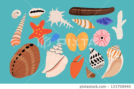 Seashells vector set. Collection of flat, cartoon modern flat icons of molluscs sea shells, starfish, sea urchin, crab, coral. Trendy coral reef under water collection isolated on white Seashells vector set. Collection of flat, cartoon modern flat icons of molluscs sea shells, starfish, sea urchin, crab, coral. Trendy coral reef under water collection isolated on white 133708940