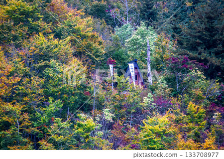 Okutadamiko Okutadamiko 133708977