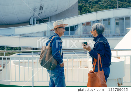 一對老年夫婦在渡輪甲板上眺望港口小鎮的旅行肖像 133709035