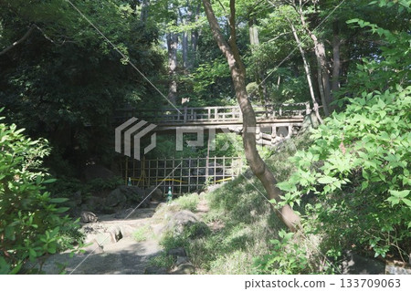 有棲川宮廣尾紀念公園 133709063