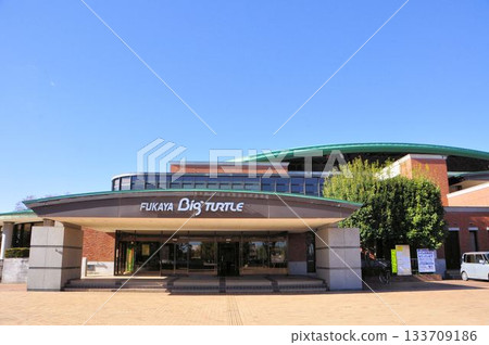 Fukaya Big Turtle Fukaya Big Turtle 133709186
