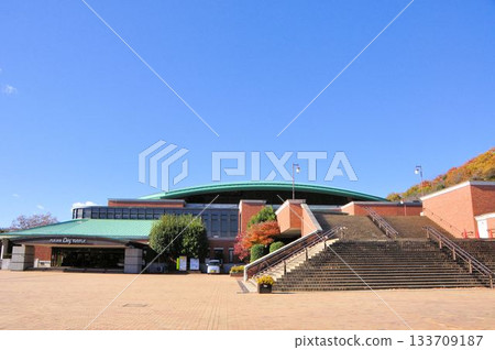 Fukaya Big Turtle Fukaya Big Turtle 133709187