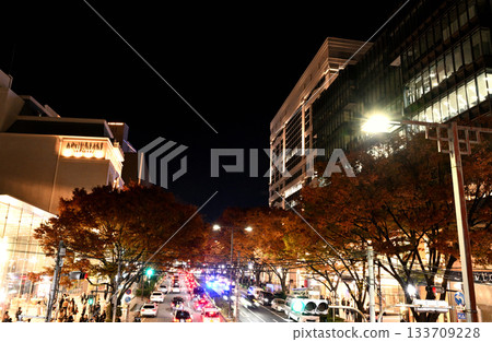 表參道的秋葉 133709228