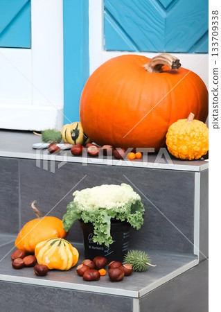 Autumn Porch Decoration with Pumpkins, Gourds, and Flower Pot Autumn Porch Decoration with Pumpkins, Gourds, and Flower Pot 133709338
