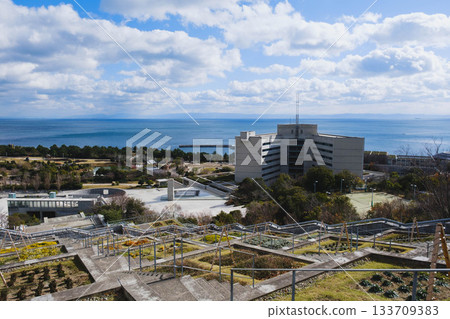 [Awaji Yumebutai] Beautiful flowers blooming in Hyakudanen Garden 133709383