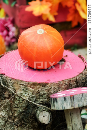 Small pumpkin on pink-painted stump with autumn decorations 133709455
