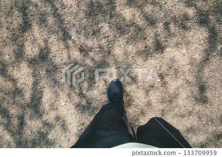 Cherry tree shadow 133709959