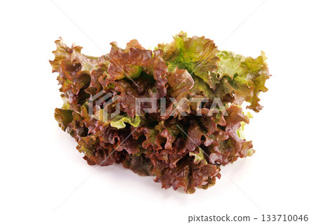 Fresh sunny lettuce 133710046