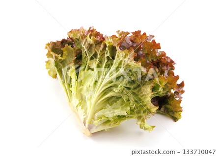 新鮮陽光生菜 133710047