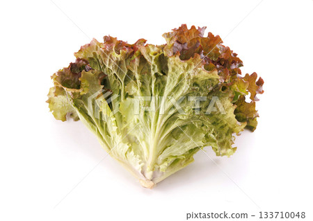 新鮮陽光生菜 133710048