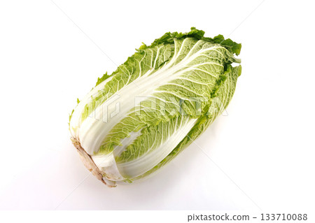 新鮮的白菜 133710088