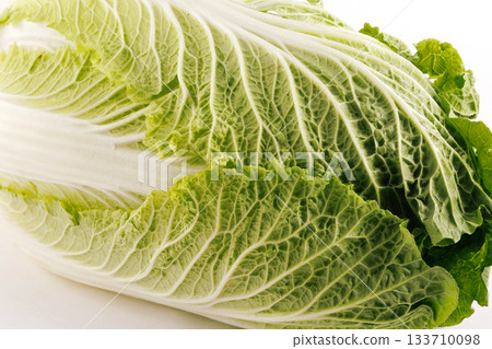 Fresh cabbage Fresh cabbage 133710098