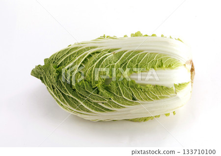 新鮮的白菜 新鮮的白菜 133710100