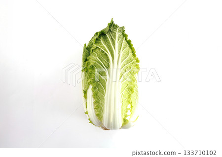 Fresh cabbage Fresh cabbage 133710102