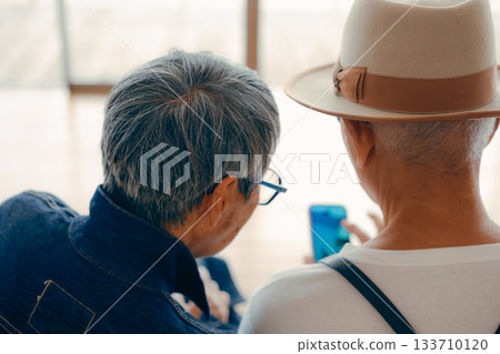 Portrait of a senior couple looking at a smartphone Portrait of a senior couple looking at a smartphone 133710120