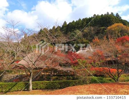 Autumn leaves in Chogen-no-sato (Yamaguchi Prefecture) 3 133710415