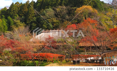 Autumn leaves in Chogen-no-sato (Yamaguchi Prefecture) 4 Autumn leaves in Chogen-no-sato (Yamaguchi Prefecture) 4 133710416
