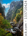 Steep cliffs and autumn leaves 133710424