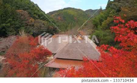 山口縣重元之鄉的秋葉 5 133710434