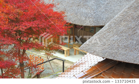 山口縣重元之鄉的秋葉 6 133710435