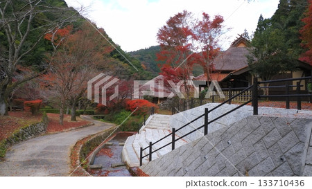 山口縣重元之鄉的秋葉 7 133710436