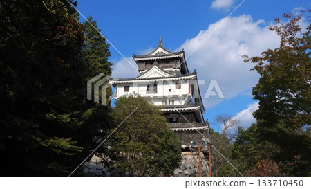 岩國城3號塔 岩國城3號塔 133710450