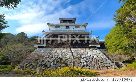 岩國城1號塔 133710475