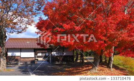 津和野的秋葉 3 津和野的秋葉 3 133710476