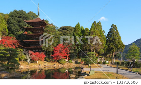 琉璃光寺（山口縣）的秋葉 1 133710500