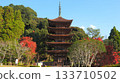 Autumn leaves at Rurikoji Temple (Yamaguchi Prefecture) 3 133710502