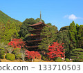 Autumn leaves at Rurikoji Temple (Yamaguchi Prefecture) 4 133710503