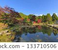 Autumn leaves at Rurikoji Temple (Yamaguchi Prefecture) 7 133710506