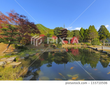 琉璃光寺(山口縣)的秋葉 7 琉璃光寺(山口縣)的秋葉 7 133710506