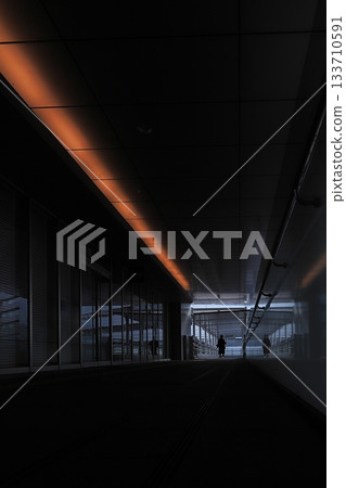 People walking on the pedestrian deck leading to Hakata Station 133710591