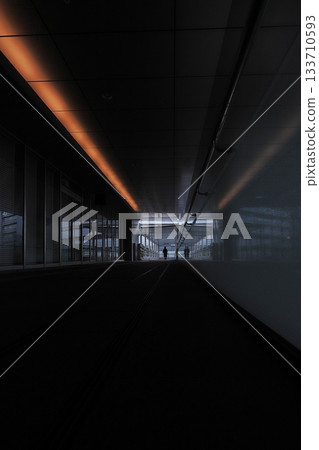 People walking on the pedestrian deck leading to Hakata Station 133710593