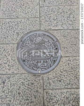 Manhole 133710837