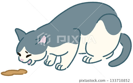 貓嘔吐的插圖 133710852