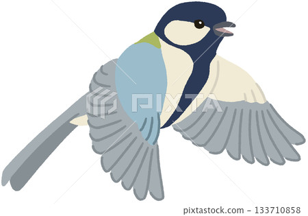 飛翔的山雀插圖 133710858