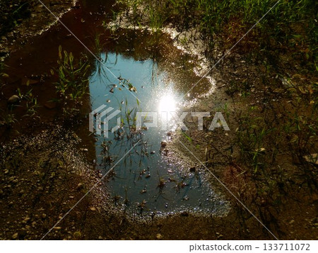 Puddle 133711072
