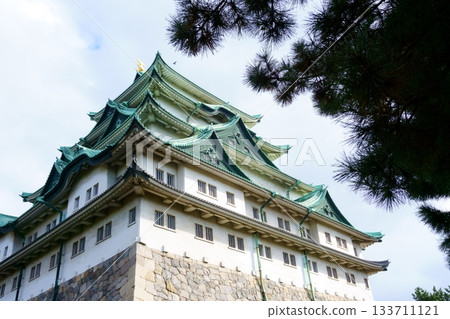 名古屋城樓和松樹葉 名古屋城樓和松樹葉 133711121