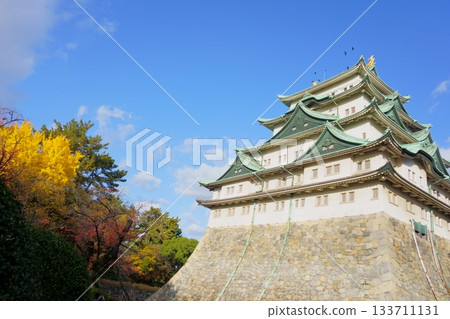 Nagoya Castle tower with colorful leaves 133711131