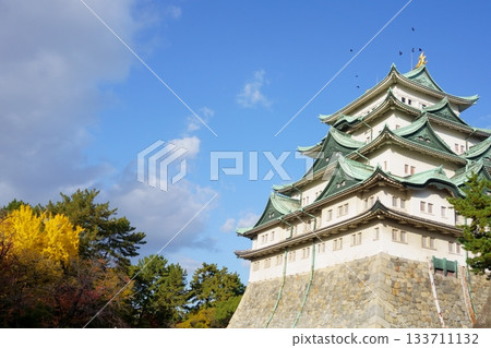 Nagoya castle in the late autumn Nagoya castle in the late autumn 133711132