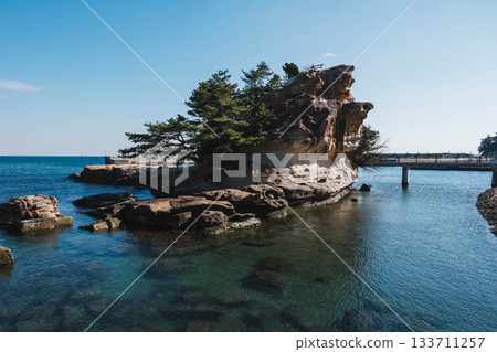 [江島] 一塊巨大的神聖岩石 133711257