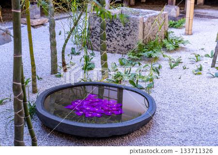 Winter scenery of the courtyard of the sub-temple Sairaiin at Kenninji Temple 1, Higashiyama Ward, Kyoto City, Kyoto Prefecture 133711326
