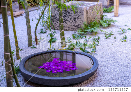 Winter scenery of the courtyard of the sub-temple Sairaiin at Kenninji Temple 2, Higashiyama Ward, Kyoto City, Kyoto Prefecture 133711327