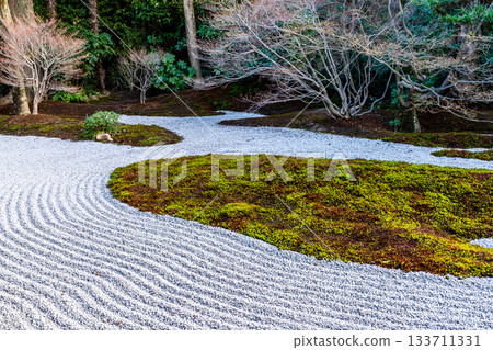 京都府京都市東山區建仁寺3號院分寺西來院正殿前庭的冬季景色 133711331